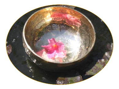 Klangmassage - Klangschale  mit rosa Blume auf Teich